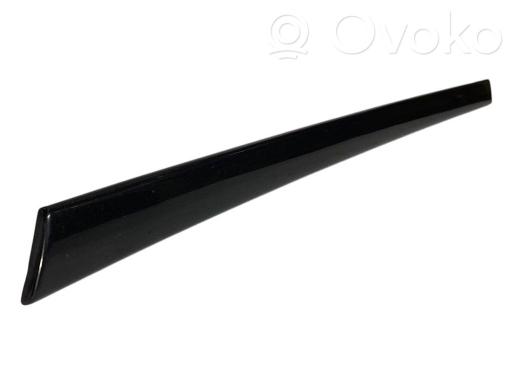 Aizmugurē durvju dekoratīvā apdare (moldings)