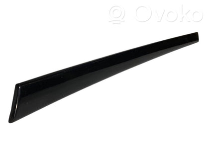 Aizmugurē durvju dekoratīvā apdare (moldings)
