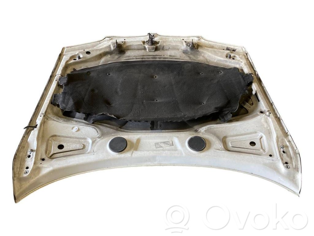 Dzinēja pārsegs (vāks)