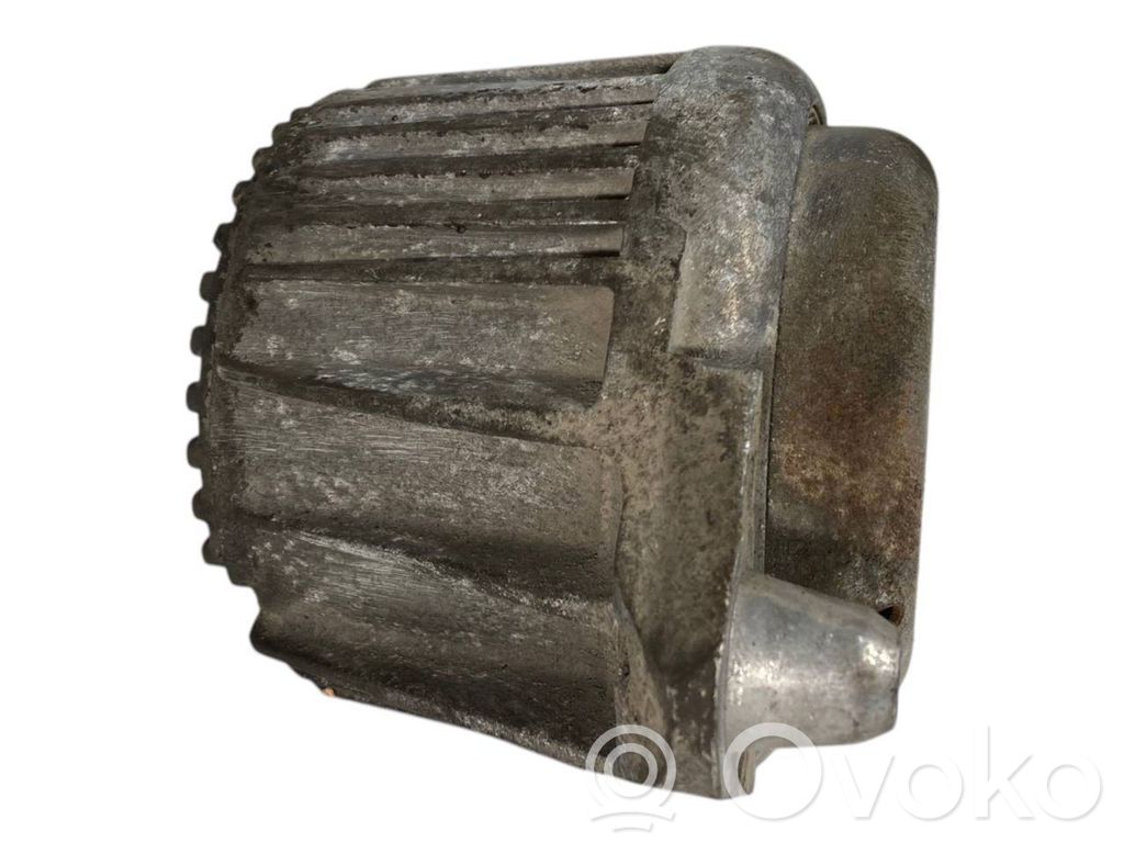 Dzinēja spilvens