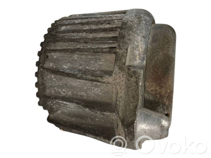 Dzinēja spilvens