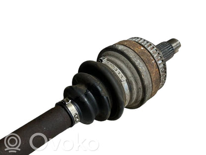 Aizmugurējā pusass