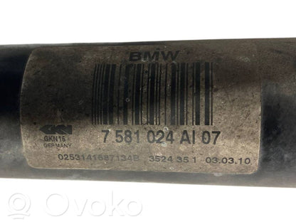 Aizmugurējā pusass