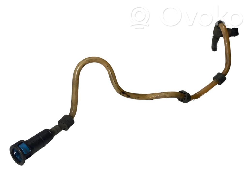 Caurule (-es) / šļūtene (-es)