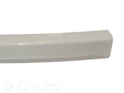 Bagāžnieka dekoratīvā apdare