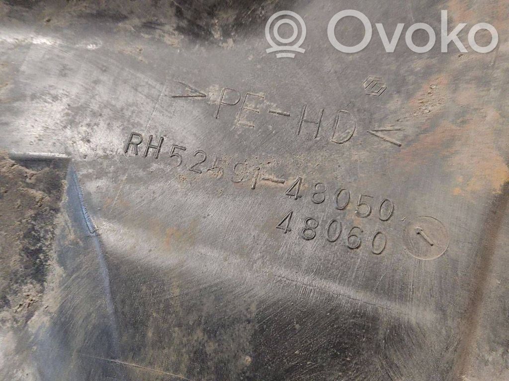 Aizmugurējais apakšspārns