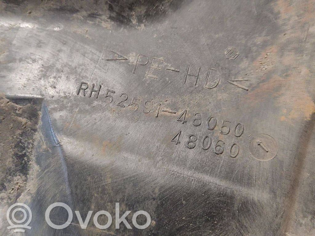 Aizmugurējais apakšspārns