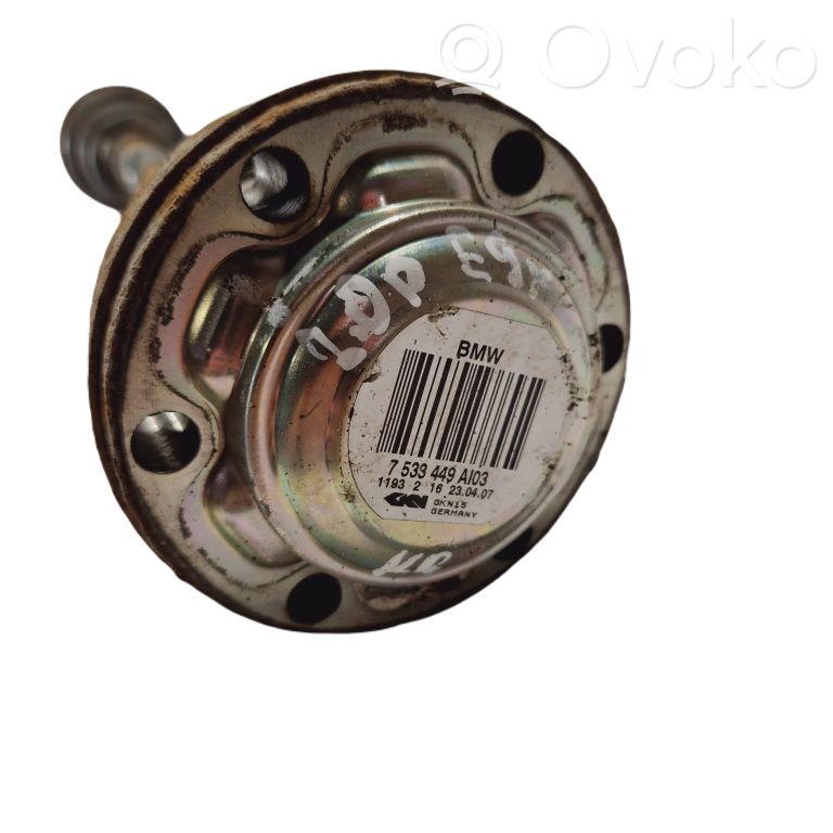 Aizmugurējā pusass