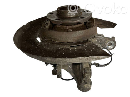 Rear wheel hub shaft joint (stupica, capfa)
