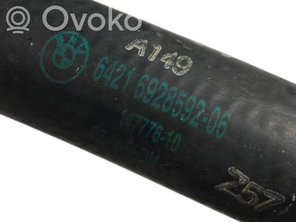 Caurulīte (-es) / šļūtene (-es)