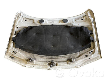 Dzinēja pārsegs (vāks)