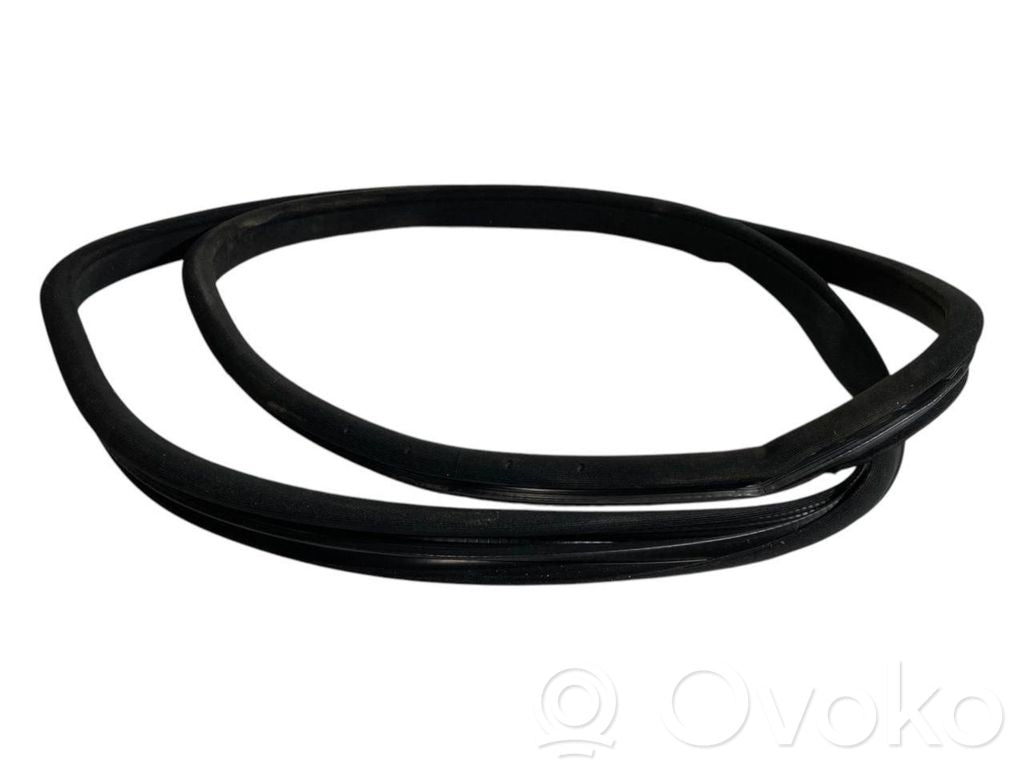 Front trim rubber (in the body)
