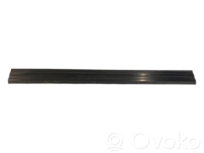 Front sill trim (external)