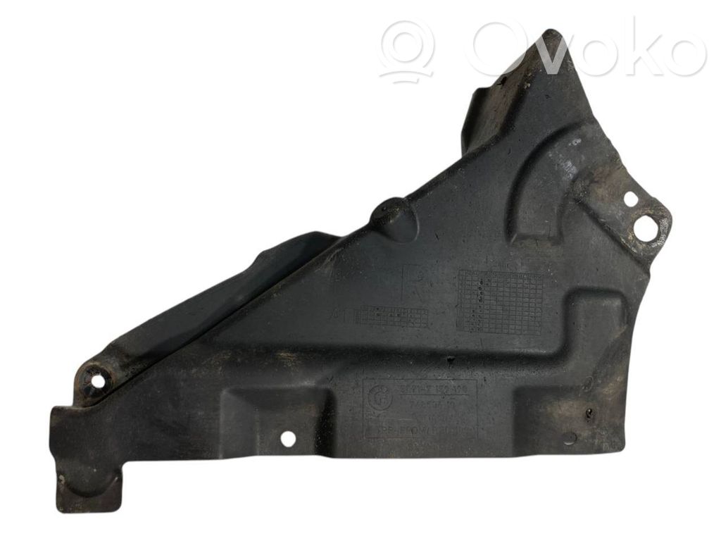 Dzinēja apakšas aizsargs (priekšdaļā)