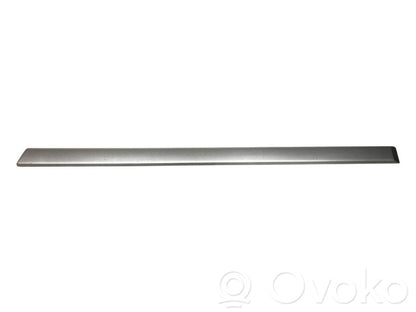 Aizmugurē durvju dekoratīvā apdare (moldings)