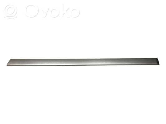 Aizmugurē durvju dekoratīvā apdare (moldings)