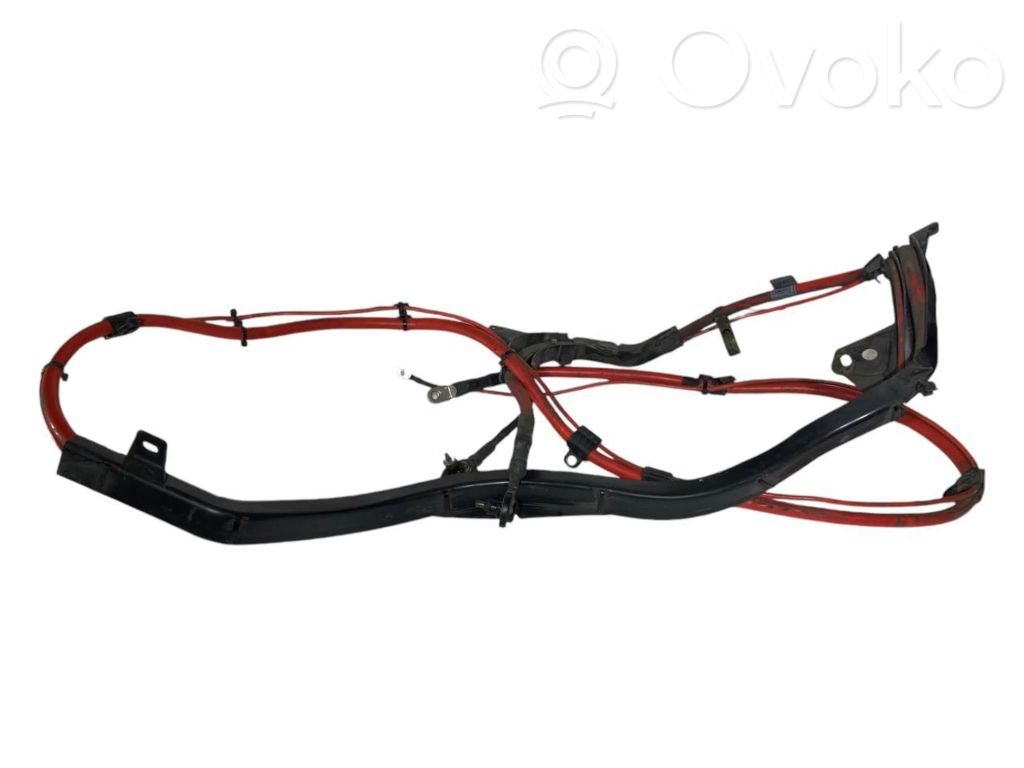 Plusa vads (akumulatora)