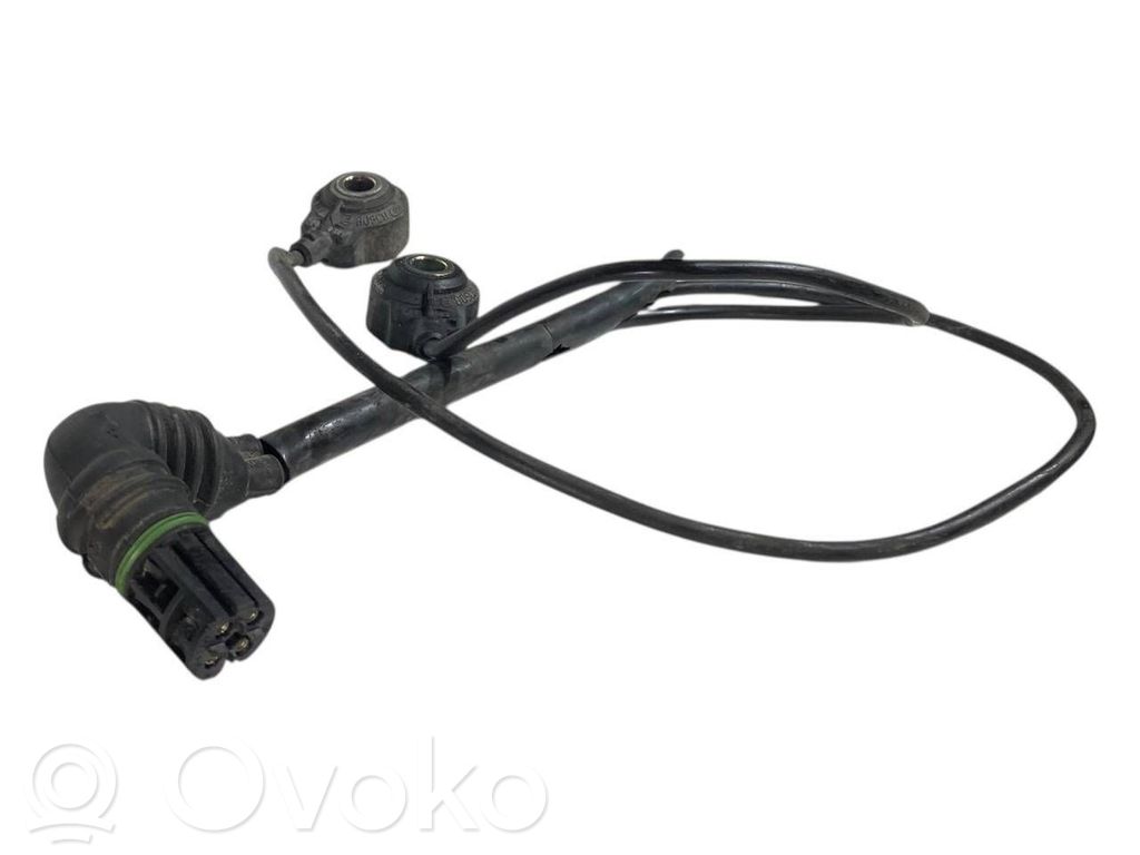 Detonācijas sensors