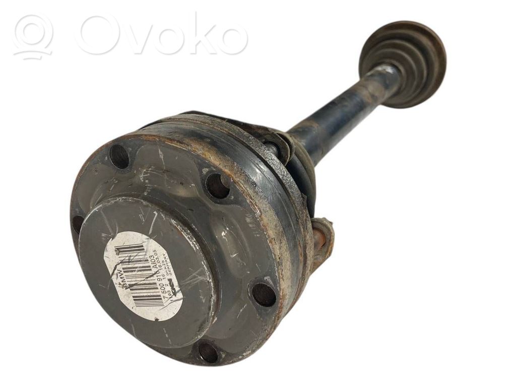 Aizmugurējā pusass