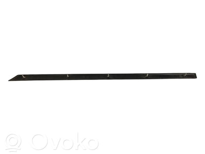 Aizmugurē durvju dekoratīvā apdare (moldings)