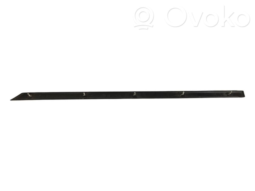 Aizmugurē durvju dekoratīvā apdare (moldings)