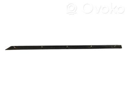 Aizmugurē durvju dekoratīvā apdare (moldings)