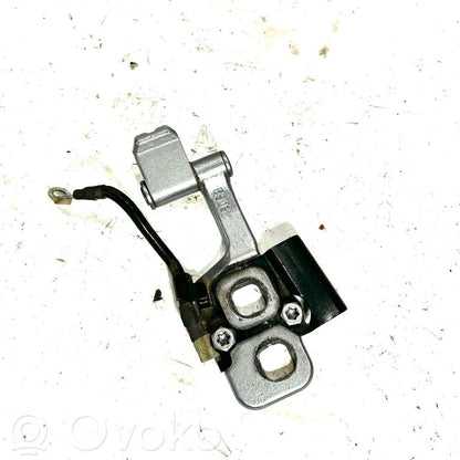 Aizmugurējā pārsega eņģe (-ess)