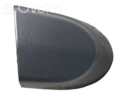 Aizmugurē durvju roktura vāciņš