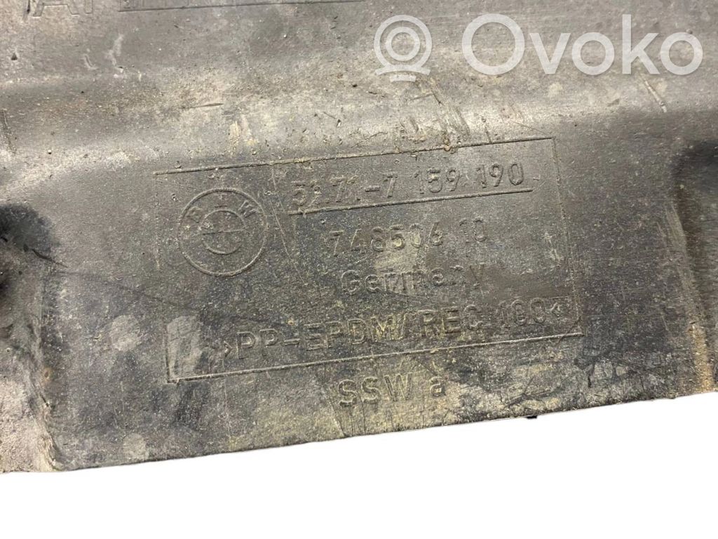 Dzinēja apakšas aizsargs (priekšdaļā)