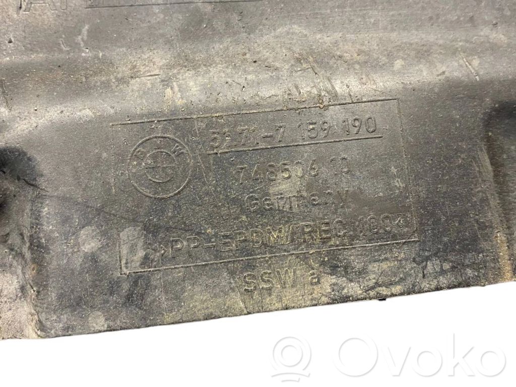 Dzinēja apakšas aizsargs (priekšdaļā)