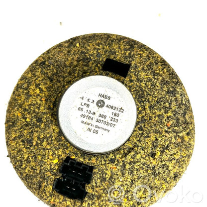 Speaker(s) in front door