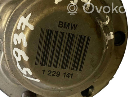 Aizmugurējā pusass