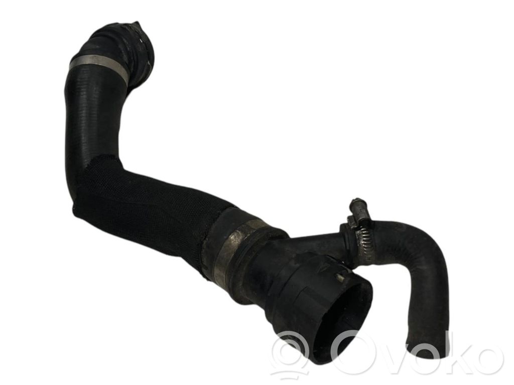 Caurulīte (-es) / šļūtene (-es)