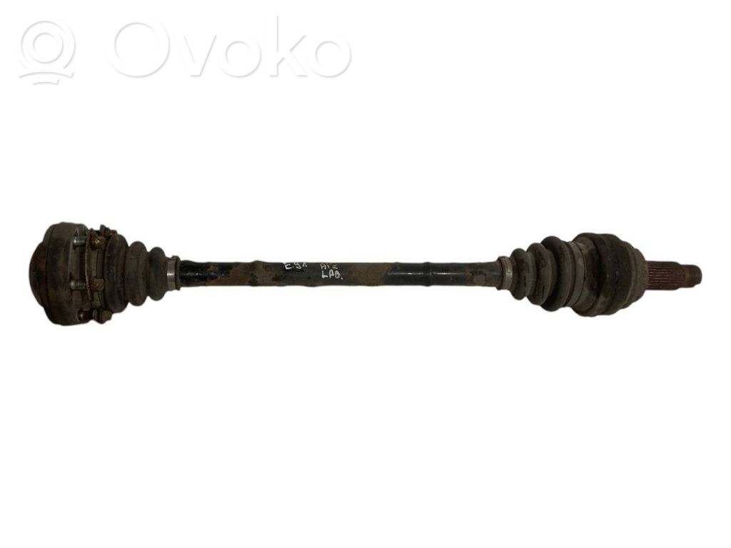 Aizmugurējā pusass