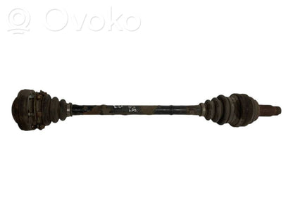 Aizmugurējā pusass