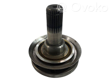 Aizmugurējā pusass