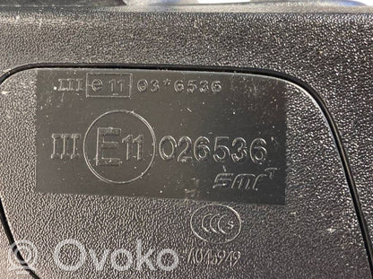 Spogulis (elektriski vadāms)