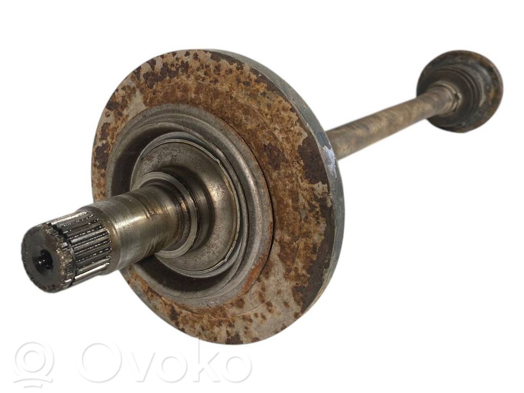 Aizmugurējā pusass