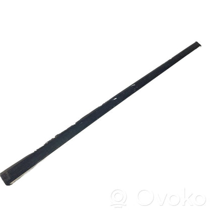 Front door decorative trim (molding)