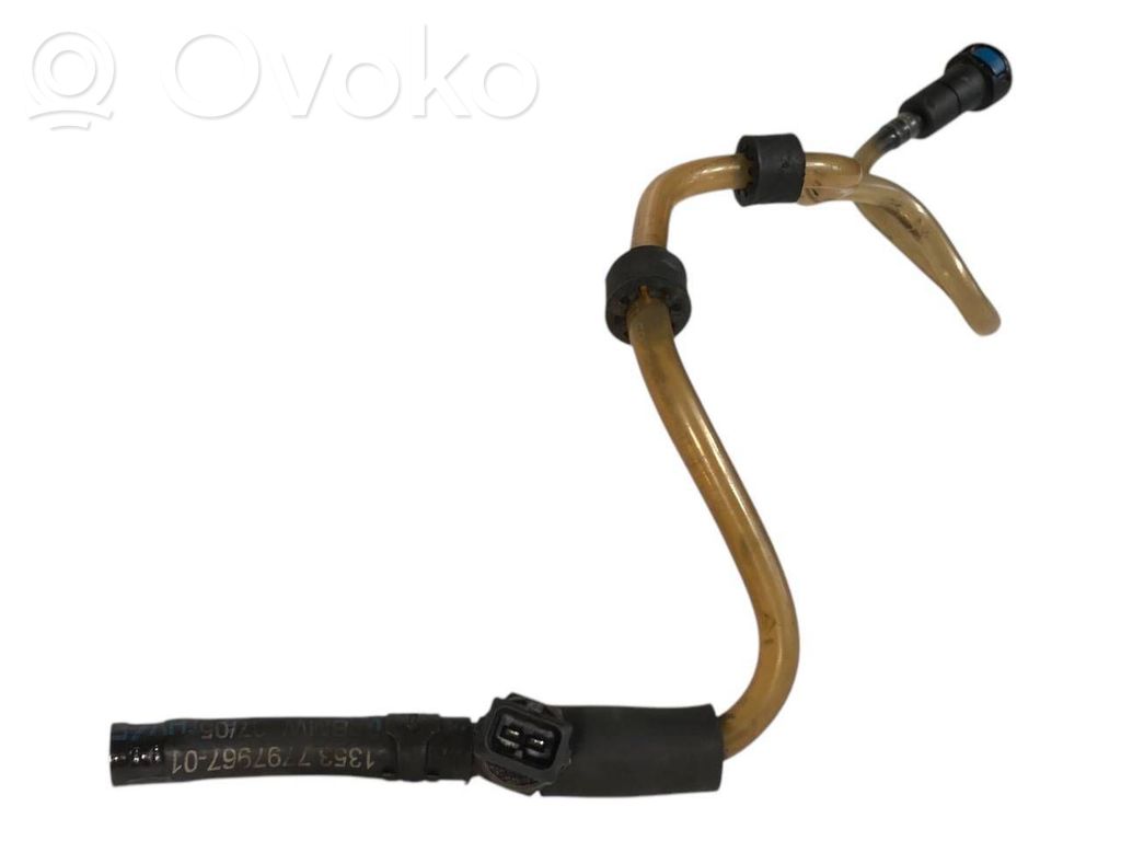 Caurule (-es) / šļūtene (-es)