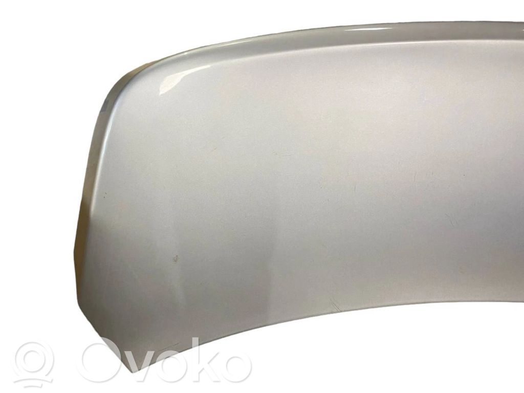 Aizmugurējais pārsegs (bagāžnieks)