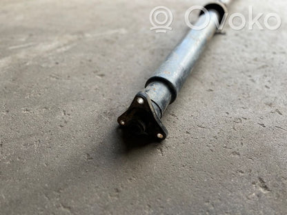 Aizmugurējais kardāns