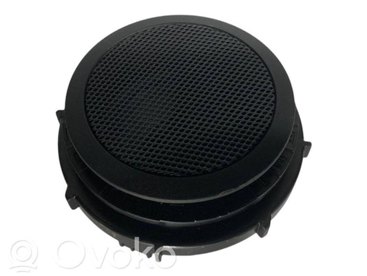 Speaker(s) in the rear door