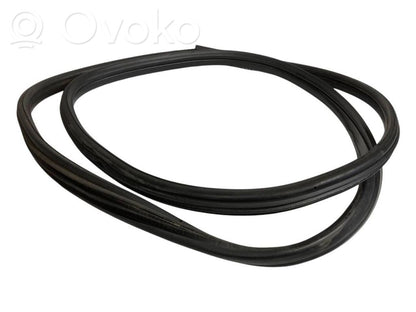 Front trim rubber (in the body)