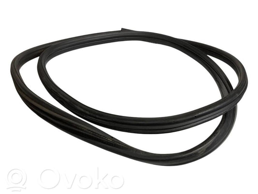 Front trim rubber (in the body)