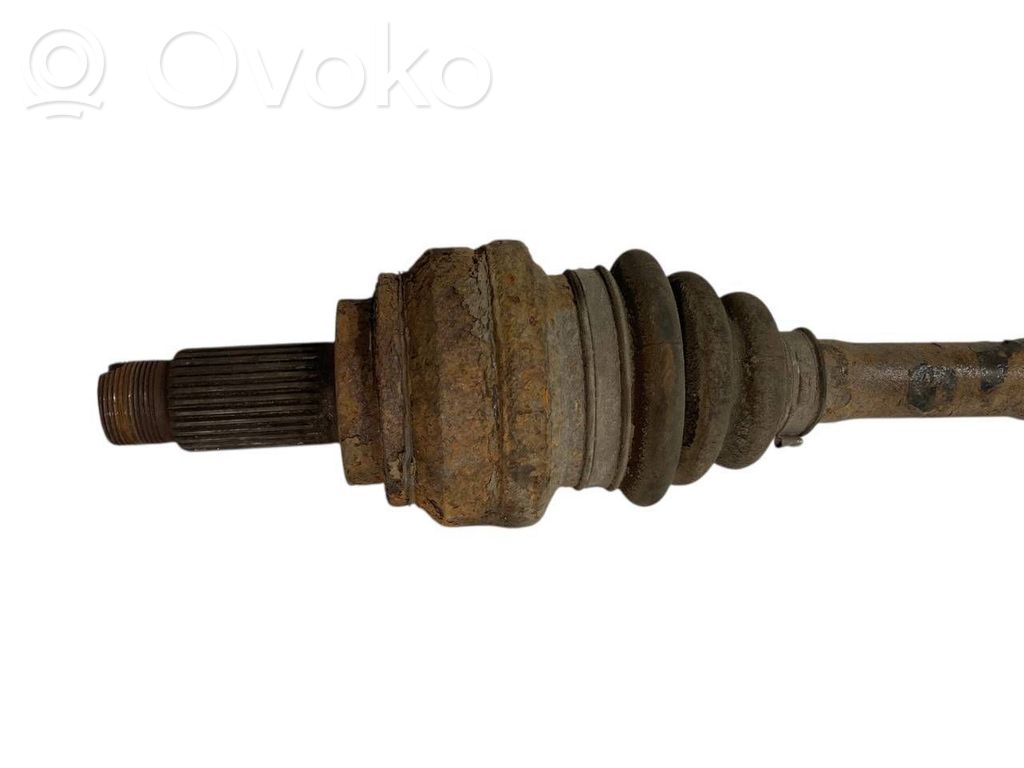 Aizmugurējā pusass