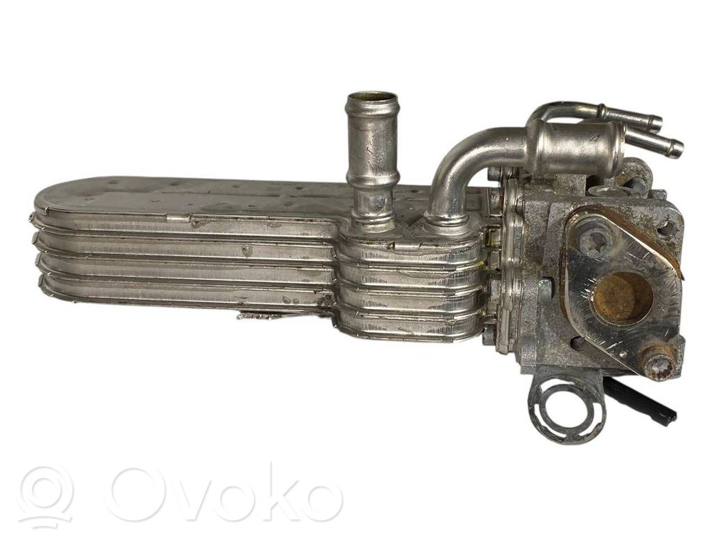 EGR dzesētājs