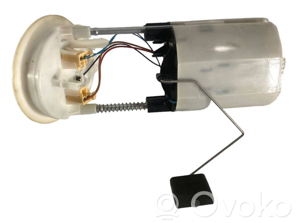 Fuel pump (in the fuel tank)