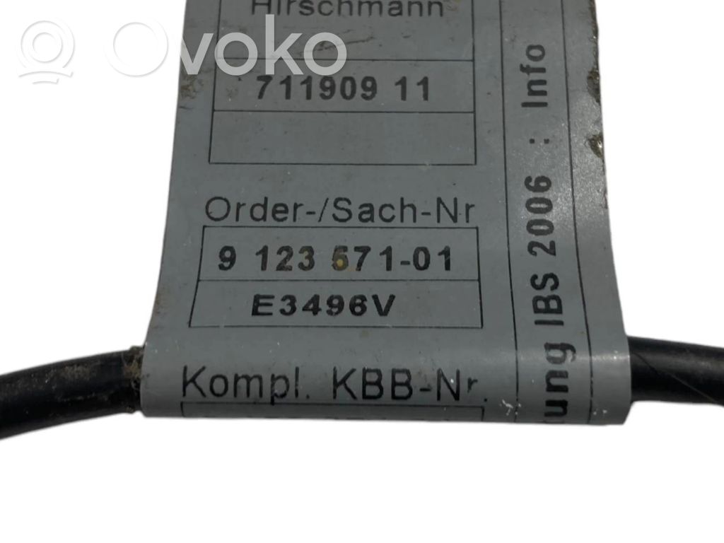 Mīnusa vads (akumulatora)