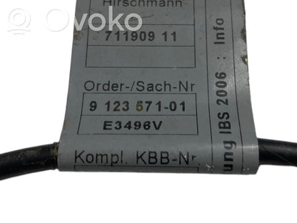 Mīnusa vads (akumulatora)